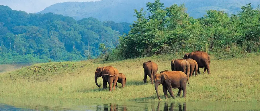 Thekkady