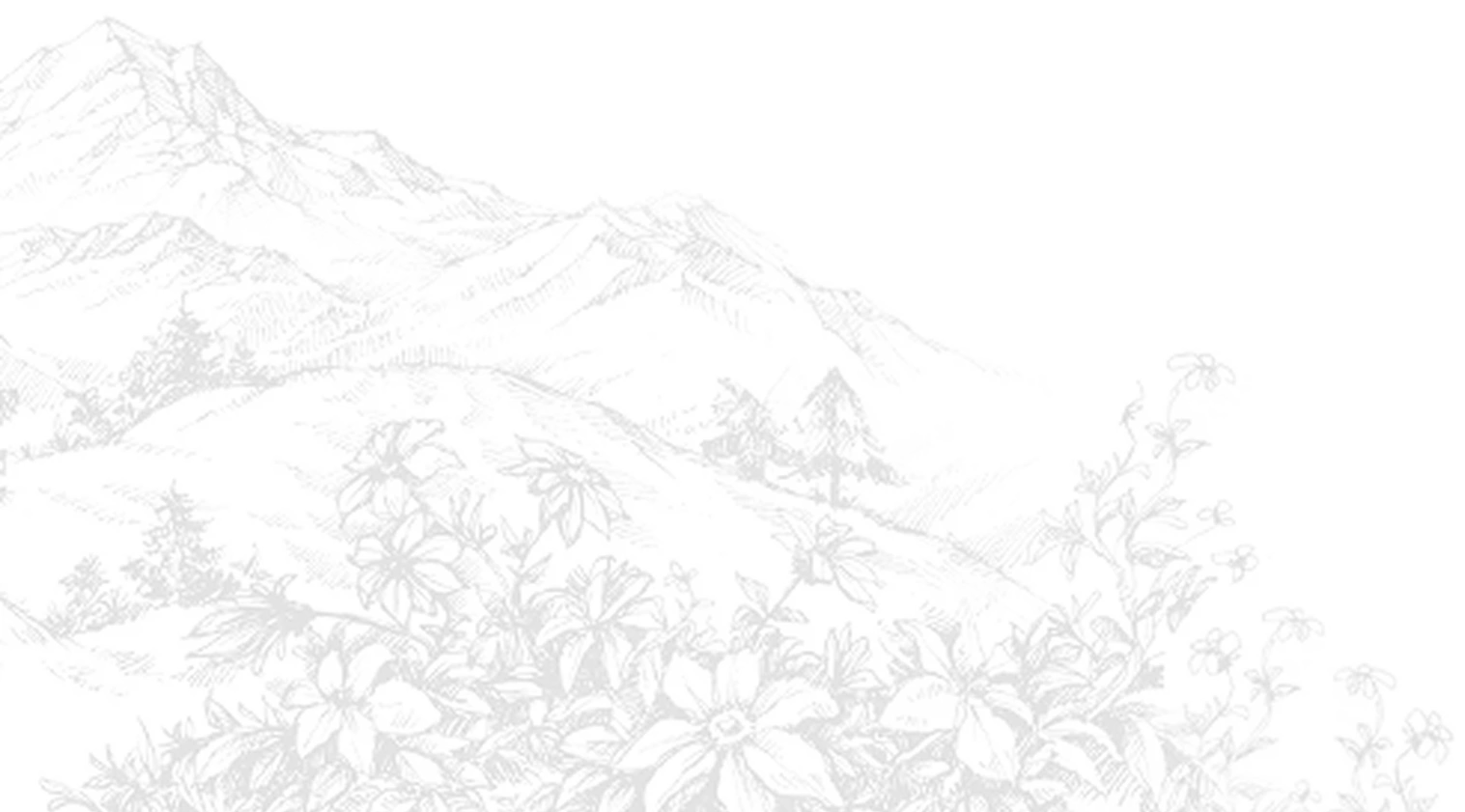 Mountains &