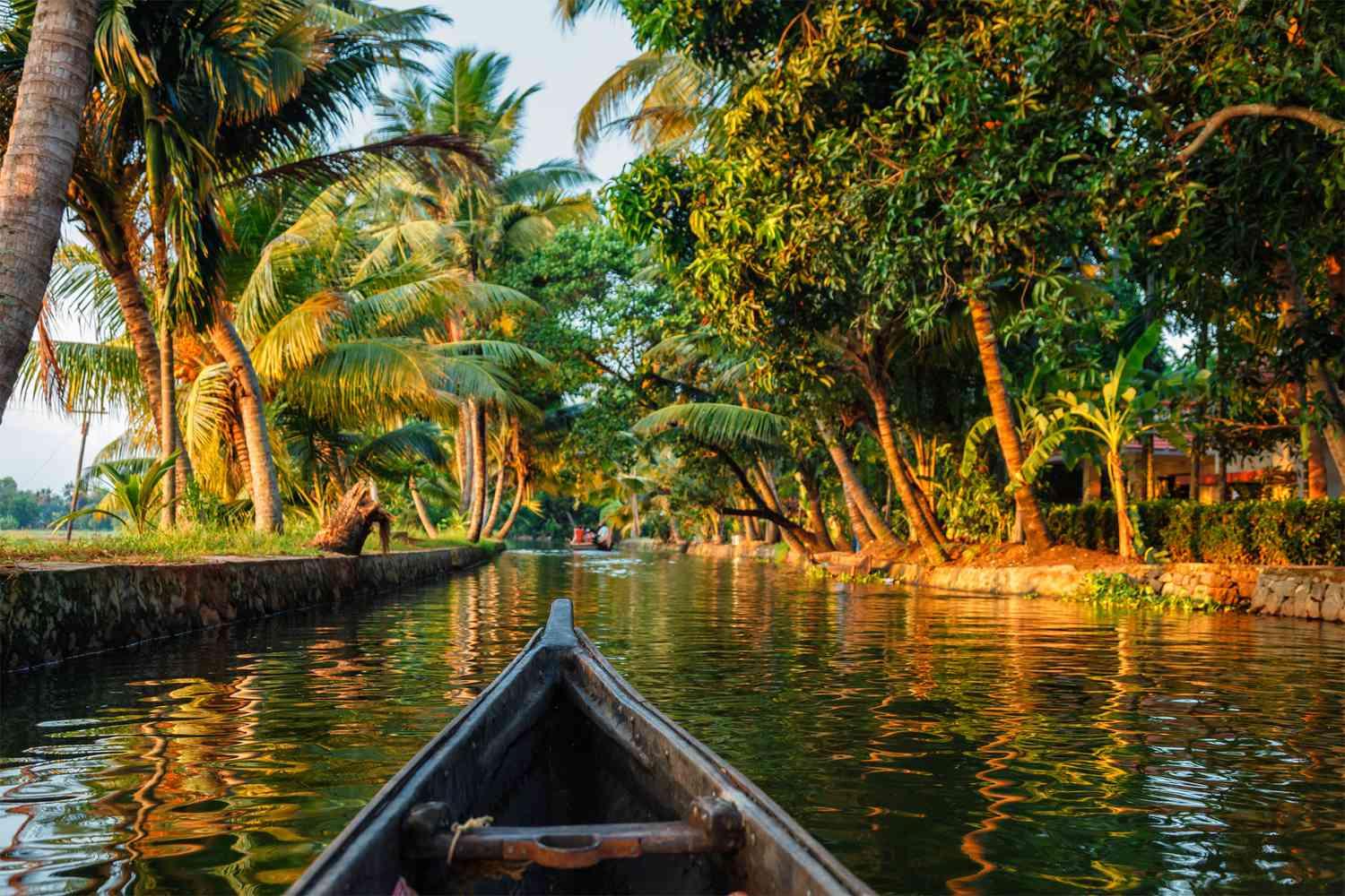 The Complete Kerala: Hills, Backwaters & Southern Beach